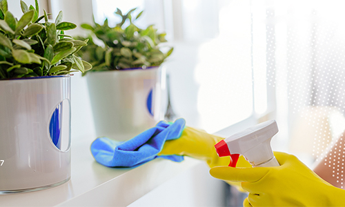 مكتب مفاز للإستقدام - تآجير عماله